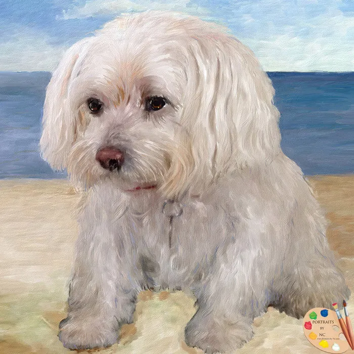 Maltese Dog Portrait Portraits by NC Earrings