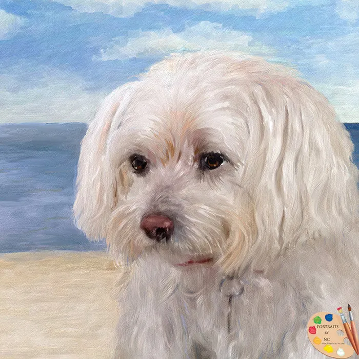 Maltese Dog Portrait Portraits by NC Earrings