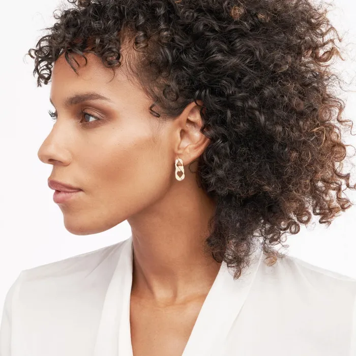 Alexis Jae Large Chain Link Earrings Earrings