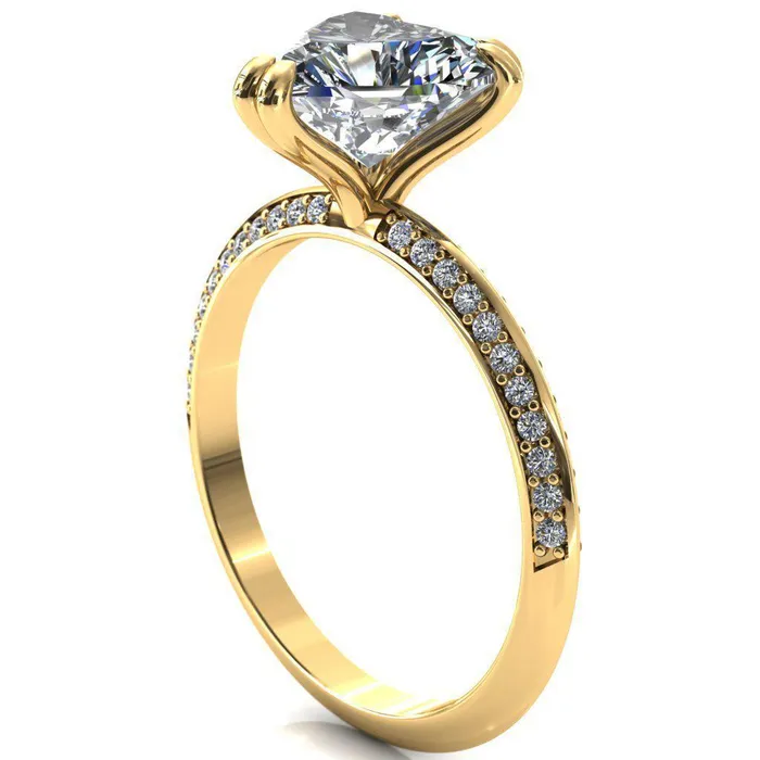 Fire Brilliance Rings Nancy Heart Moissanite 3 Double Prong 12 Eternity Diamond Knife Shank Accent Engagement Ring
