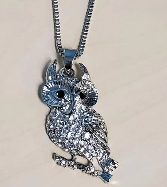 Necklaces POLLY N773 Silver Rhinestone Owl Necklace with FREE Earrings