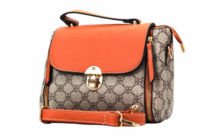 Walkeaze Earrings Women Stylish Bag 3328B1