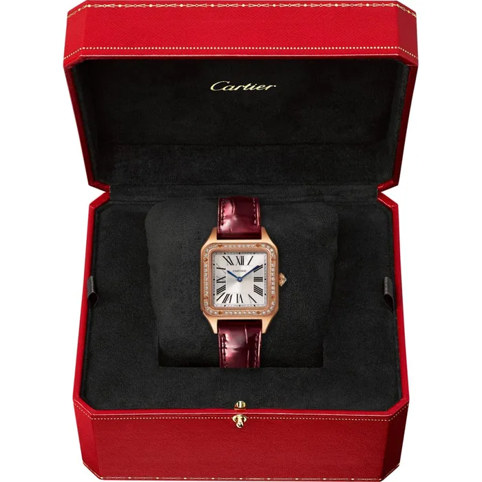 Cartier SantosDumont watch WJSA0017 Watches