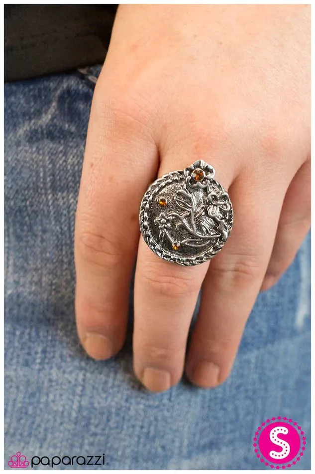 Paparazzi Jewelry Rings Paparazzi Ring Yosemite Brown
