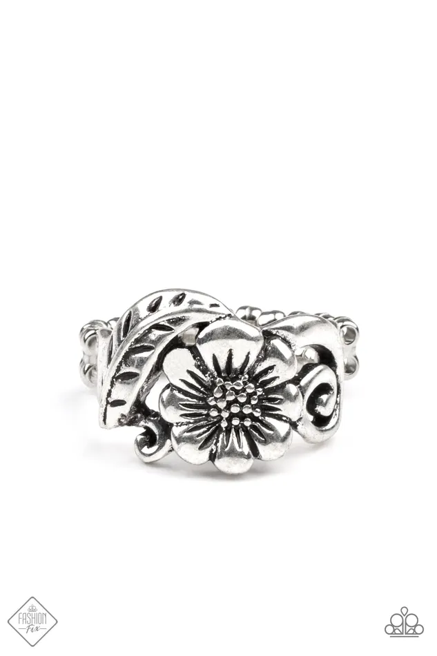 Paparazzi Ring Fashion Fix May 2021 Oceanside Orchard Silver Paparazzi Jewelry Rings Paparazzi Ring Fashion Fix May 2021 Oceanside Orchard Silver Paparazzi Jewelry Rings
