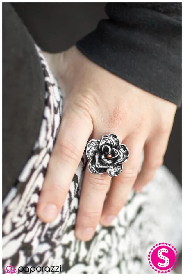 Paparazzi Ring Spring Craving Brown Paparazzi Jewelry Rings