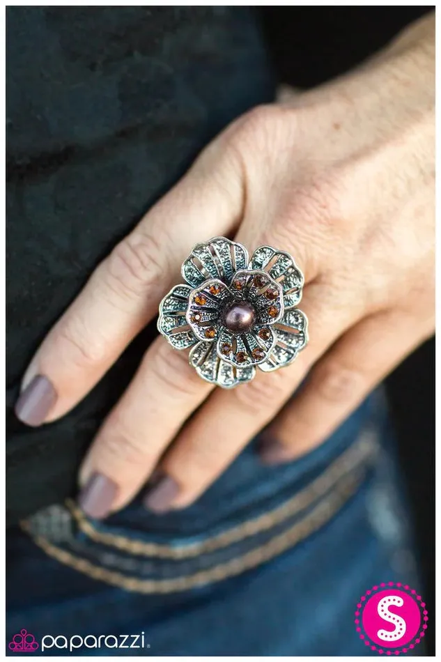 Paparazzi Ring Vanity Fair Brown Paparazzi Jewelry Rings