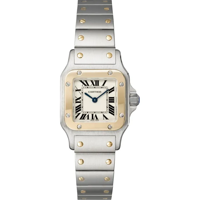 Santos de Cartier Galbe Watch SM W20012C4 Cartier Watches
