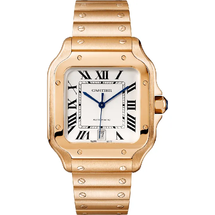 Watches Cartier Santos de Cartier watch CRWGSA0018