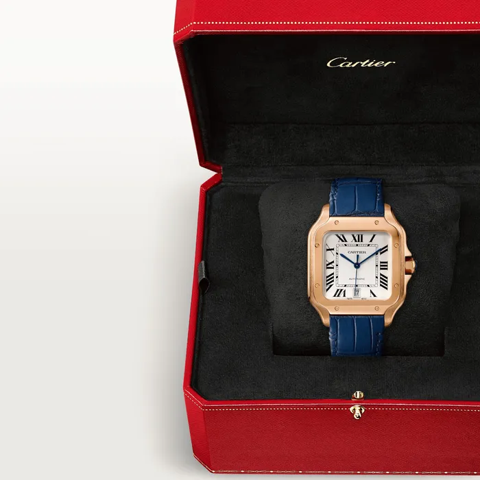 Watches Cartier Santos de Cartier watch CRWGSA0018