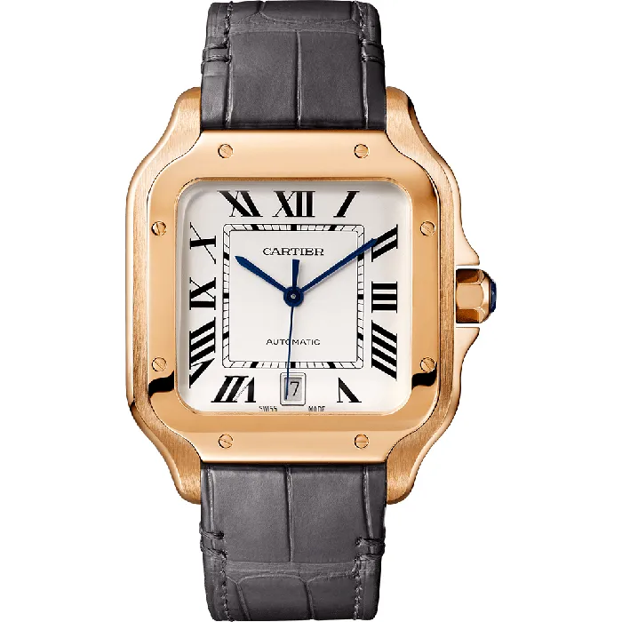 Watches Cartier Santos de Cartier watch CRWGSA0018