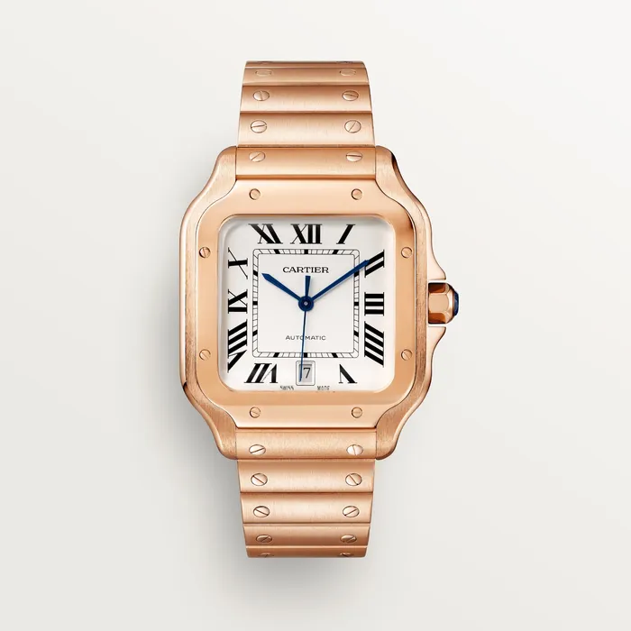 Watches Cartier Santos de Cartier watch CRWGSA0018