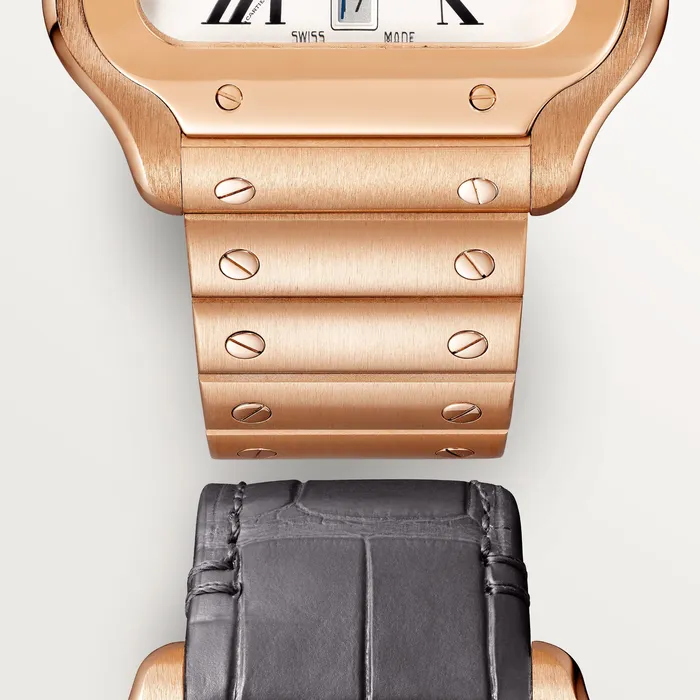 Watches Cartier Santos de Cartier watch CRWGSA0018