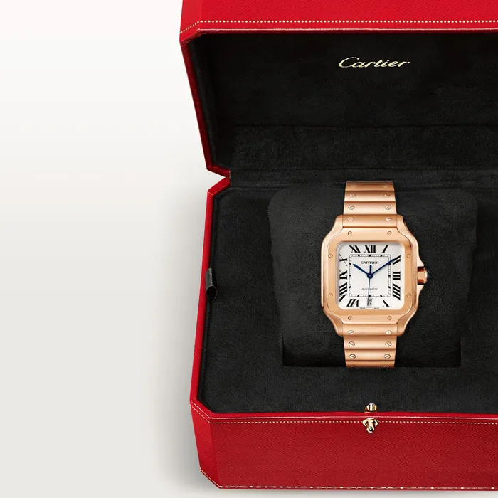 Watches Cartier Santos de Cartier watch CRWGSA0018
